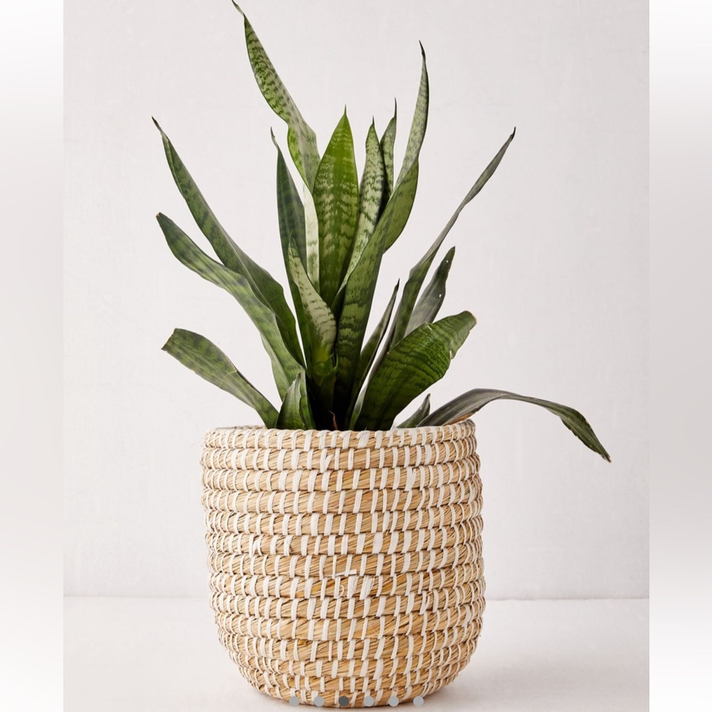 Urban Outfitters Dia Natural Basket Planter/Pot - Size: M (8.5"dia x 8.75"h)